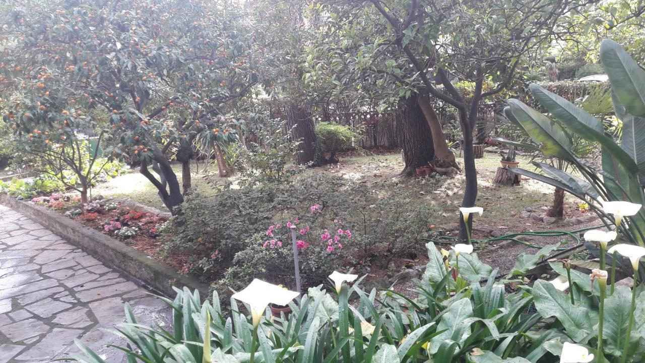 Villa Elena Πόρτο Βένερε Εξωτερικό φωτογραφία